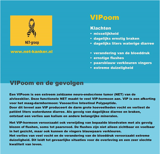 VIPoom